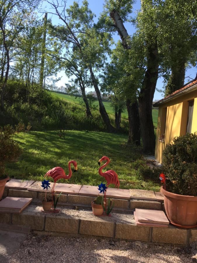 Agriturismo Fattoria Del Colle Iesi Exterior photo